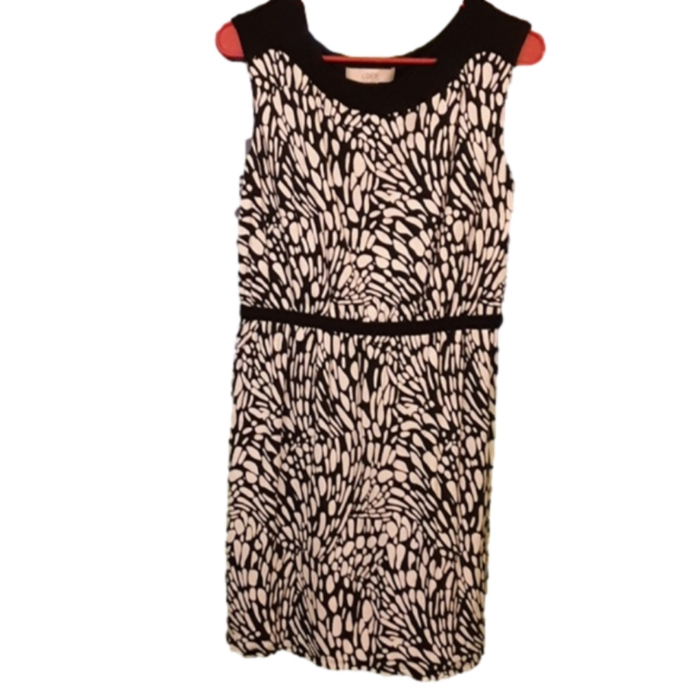 Ann Taylor dress